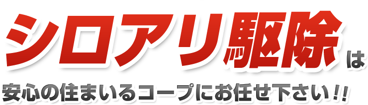 シロアリ駆除は安心の住まいるコープにお任せ下さい