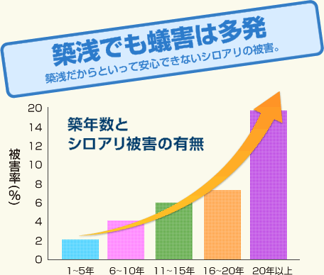 築浅でも蟻害は多発