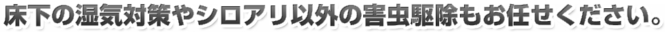 床下の湿気対策やシロアリ以外の害虫駆除もお任せください。